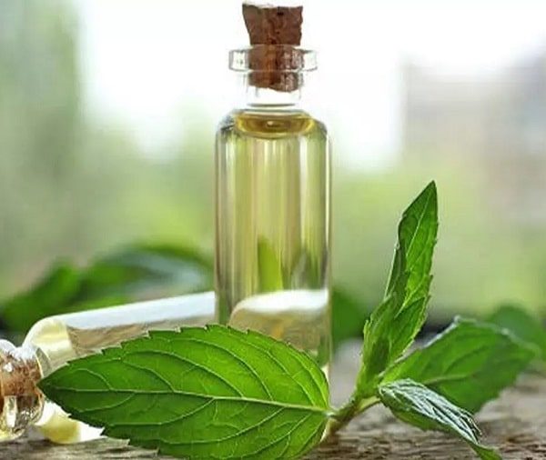 روغن های گیاهی برای بهبود سردرد